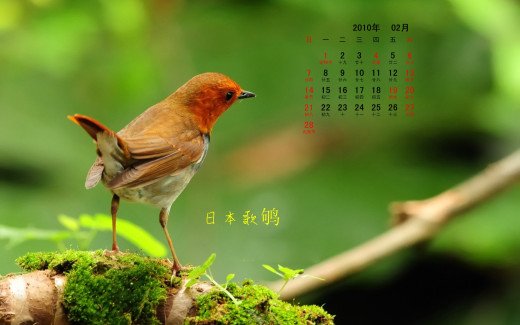484608 (a): :1920x1200